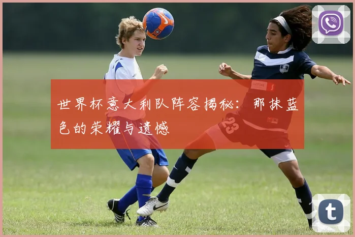 世界杯意大利队阵容揭秘：那抹蓝色的荣耀与遗憾
