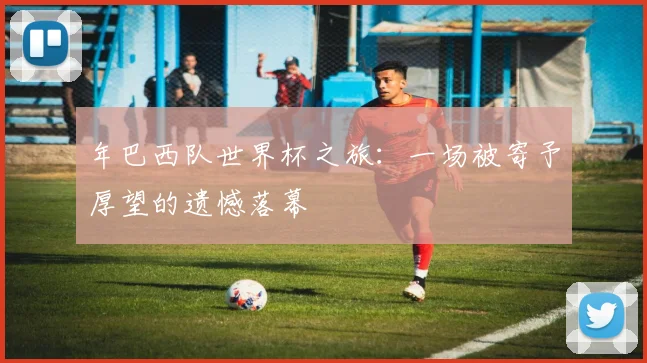 年巴西队世界杯之旅：一场被寄予厚望的遗憾落幕