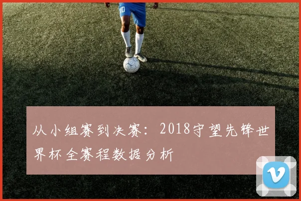 从小组赛到决赛：2018守望先锋世界杯全赛程数据分析