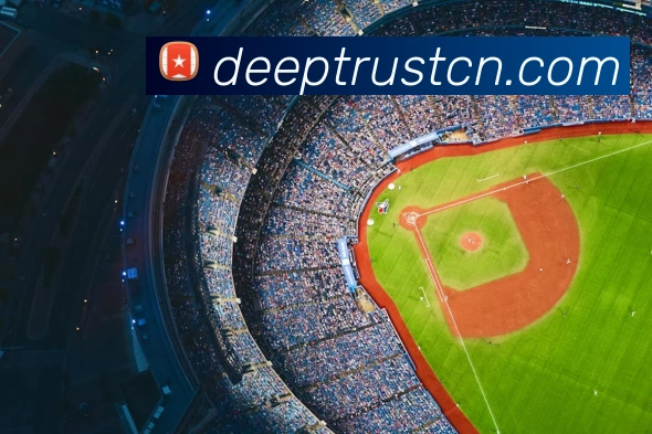 米兰app官方登录入口APP 封面图